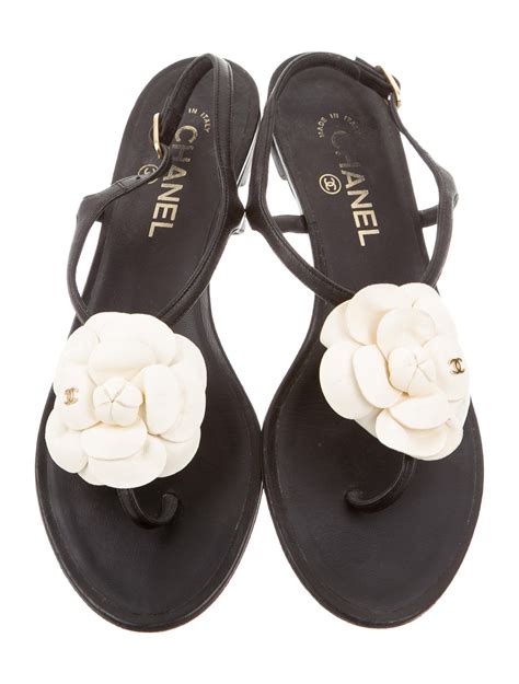 chanel camelia shoes price|Chanel camellia sandals.